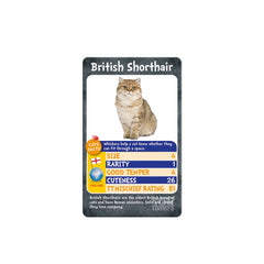 Cats Top Trumps Card Game