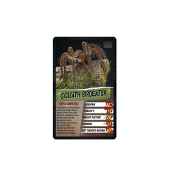 Spiders Top Trumps Card Game