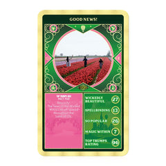 Wicked Top Trumps Card Game