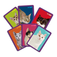 Cats Top Trumps Match - The Crazy Cube Game