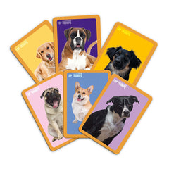 Dogs Top Trumps Match - The Crazy Cube Game