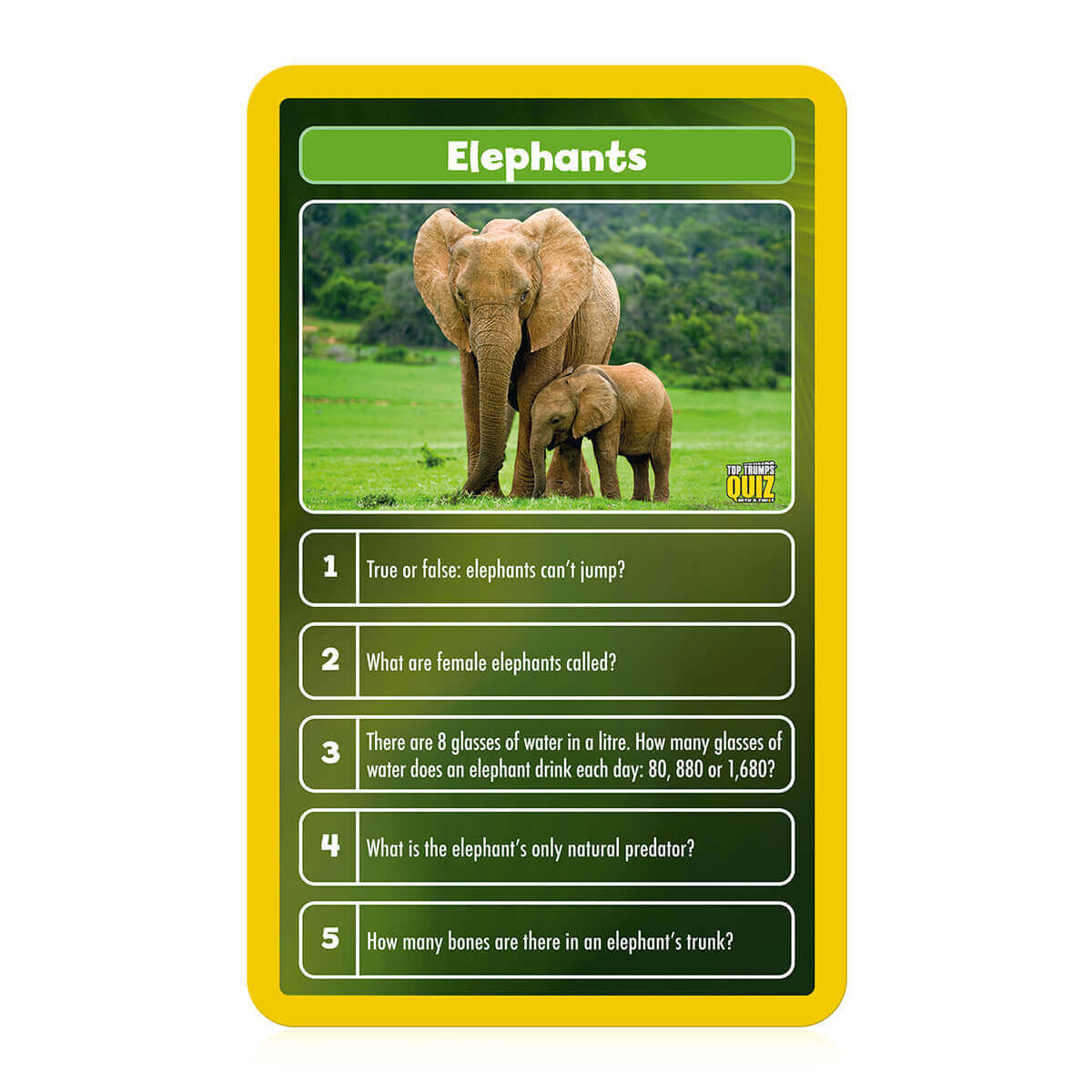 Animals Top Trumps Quiz Card Game