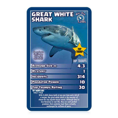 Sharks Top Trumps Card Game featuring Great White Shark stats, including mystery, incidents, and predator power.