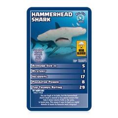 Hammerhead Shark card from Sharks Top Trumps Card Game showing stats and features of this fascinating predator.