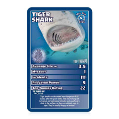 Tiger Shark card from Sharks Top Trumps Card Game showing stats and facts about this fascinating predator.