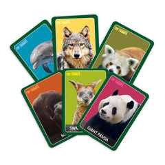 Awesome Animals Top Trumps Match - The Crazy Cube Game