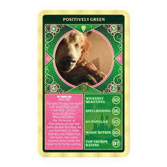 Wicked Top Trumps Card Game